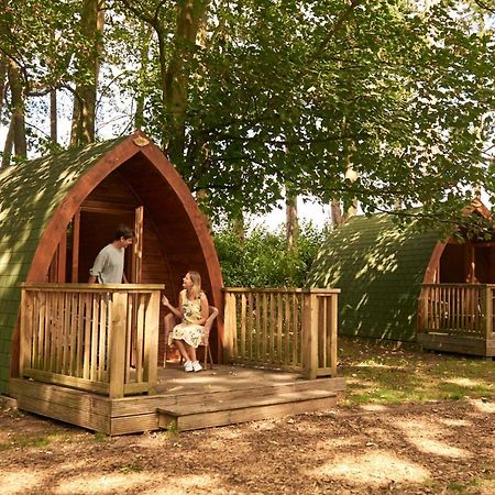 Pinewood - At Port Lympne Reserve ハイス エクステリア 写真