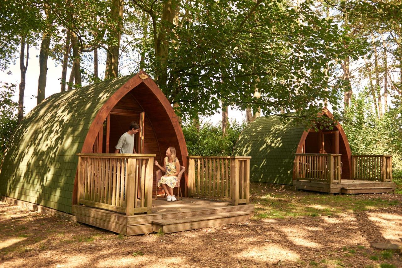 Pinewood - At Port Lympne Reserve ハイス エクステリア 写真