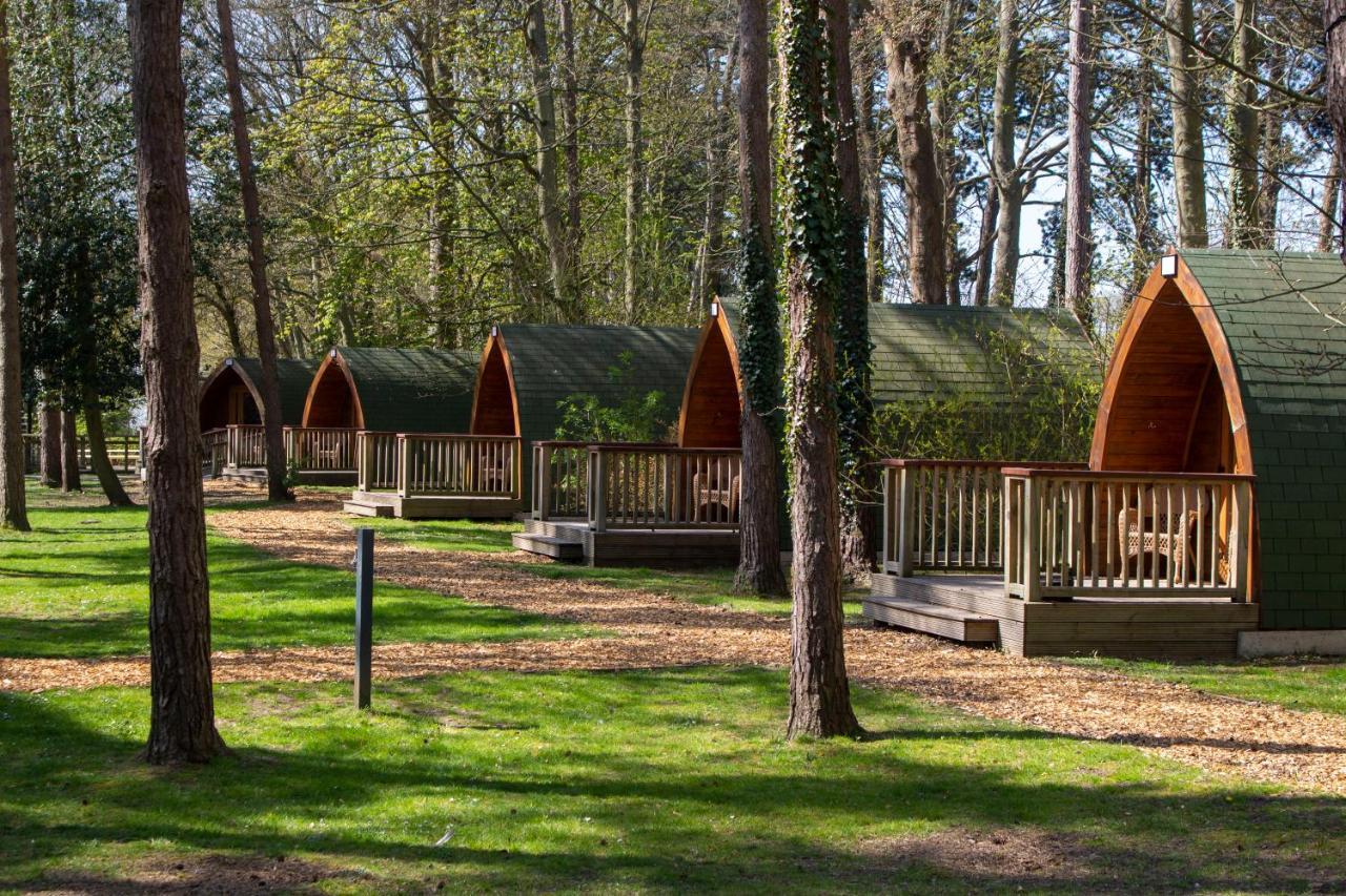 Pinewood - At Port Lympne Reserve ハイス エクステリア 写真